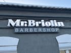 Mr. Briolin