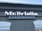 Mr. Briolin