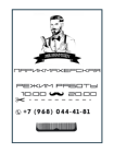 Mr. Shamsiev