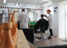 Hairurg